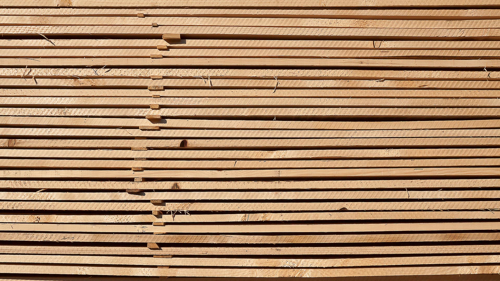 Holzbretter und Holzplatten Zuschnitt